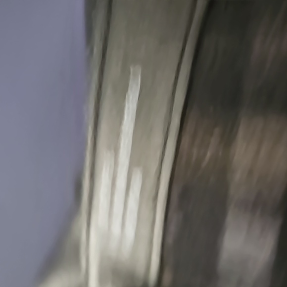 Boots - Picture 7 of 9